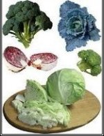 cabbage cauliflower brussel sprout